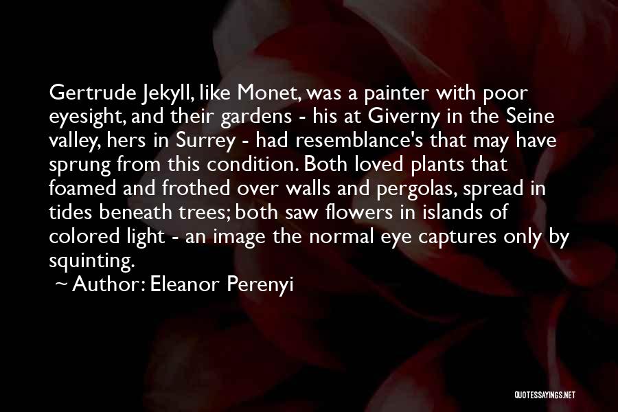 Eyesight Quotes By Eleanor Perenyi