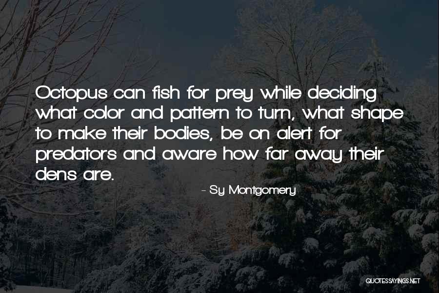 Eymundsson Kringlan Quotes By Sy Montgomery Eymundsson Kringlan Quotes By Sy Montgomery