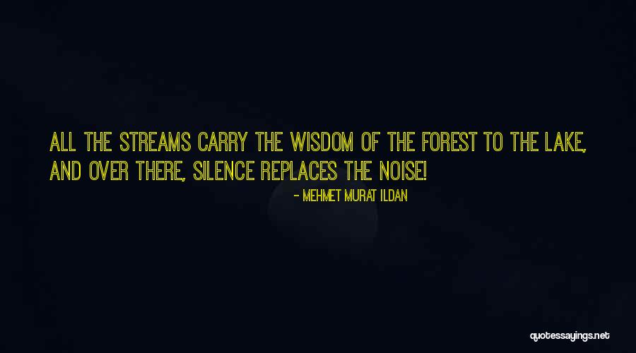 Eyresh Quotes By Mehmet Murat Ildan Eyresh Quotes By Mehmet Murat Ildan