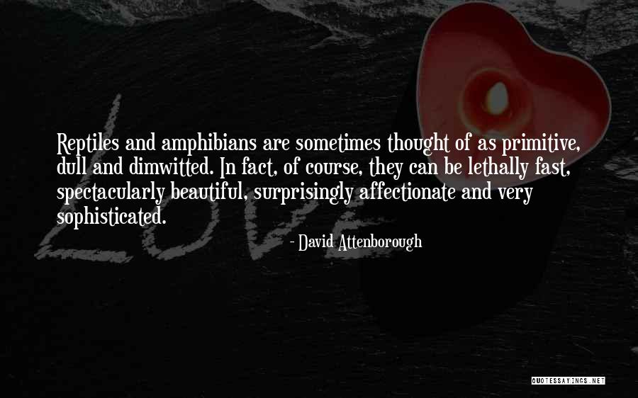Eysteinn Beli Quotes By David Attenborough Eysteinn Beli Quotes By David Attenborough