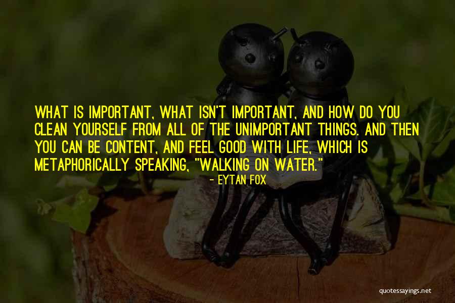 Eytan Quotes By Eytan Fox Eytan Quotes By Eytan Fox