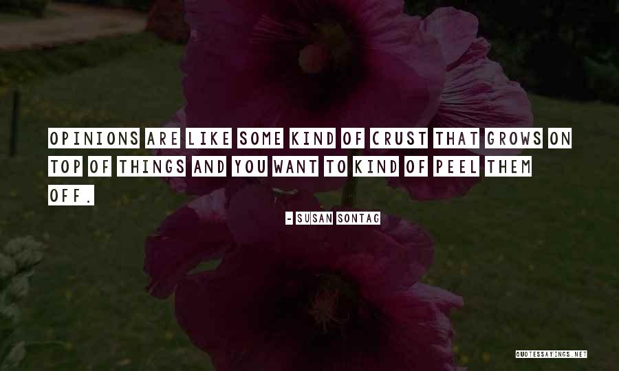 Eyton Senders Quotes By Susan Sontag Eyton Senders Quotes By Susan Sontag