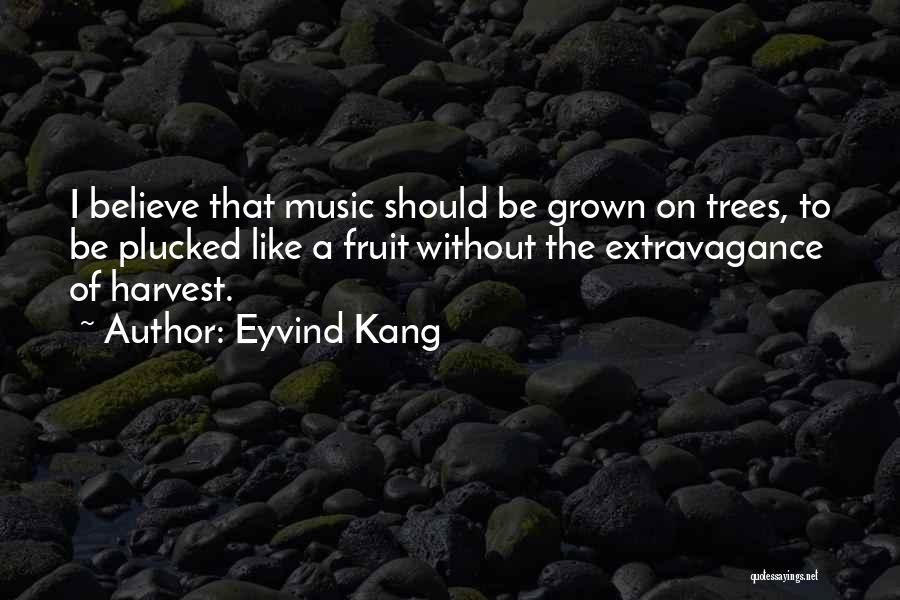 Eyvind Kang Quotes 1286367