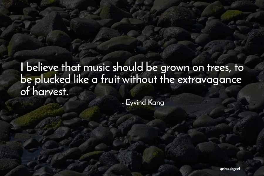 Eyvind Kang Quotes 1286367