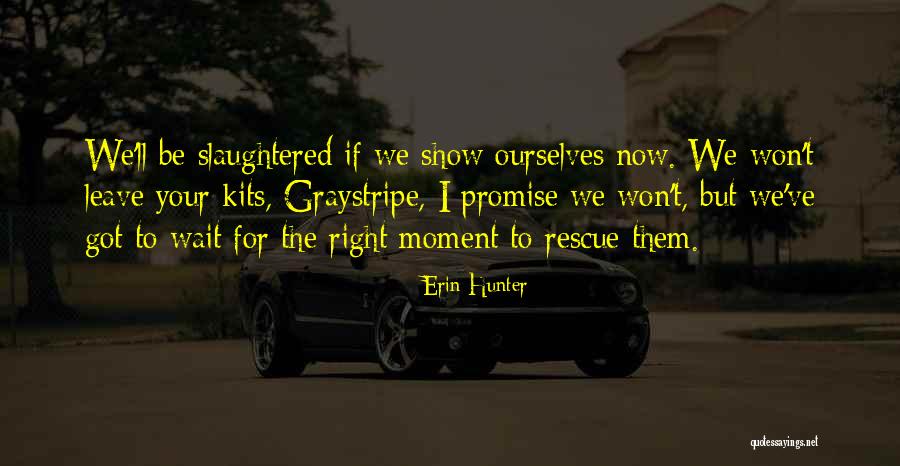 Ezhupunna Pincode Quotes By Erin Hunter Ezhupunna Pincode Quotes By Erin Hunter