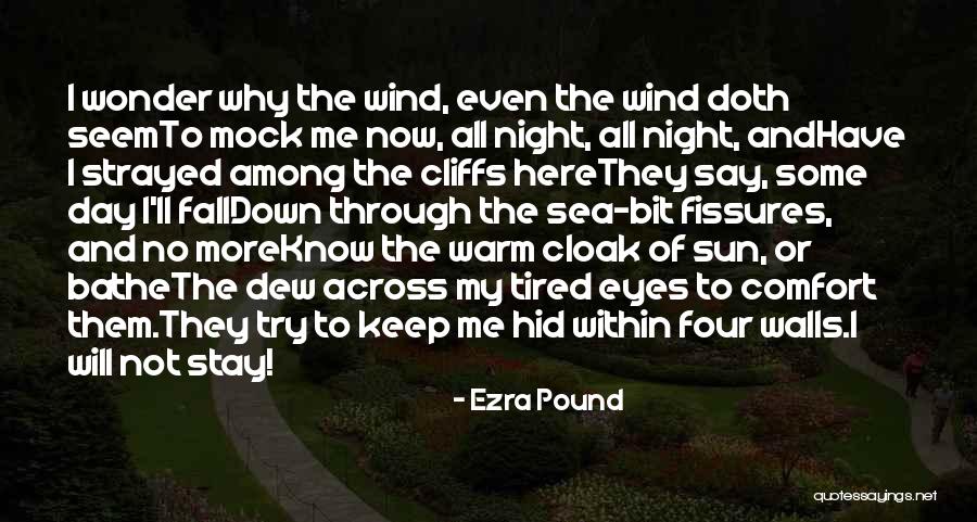 Ezra Pound Quotes 1843222 Ezra Pound Quotes 1843222