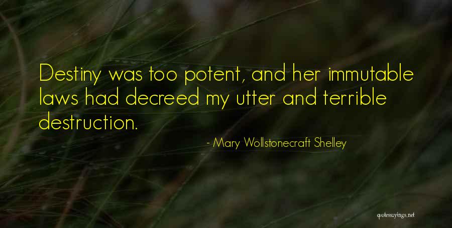 Ezzeddine Saidane Quotes By Mary Wollstonecraft Shelley Ezzeddine Saidane Quotes By Mary Wollstonecraft Shelley
