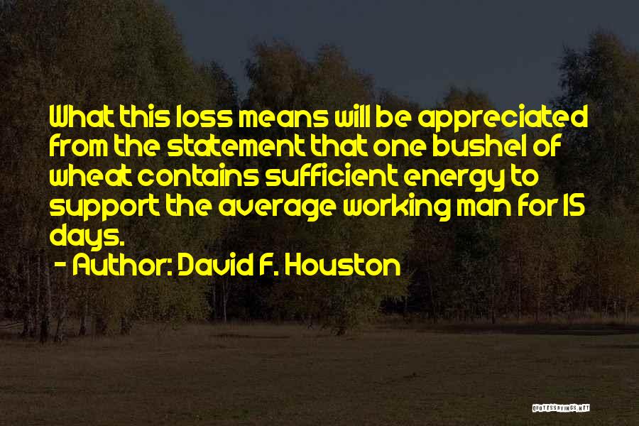 F-15 Quotes By David F. Houston