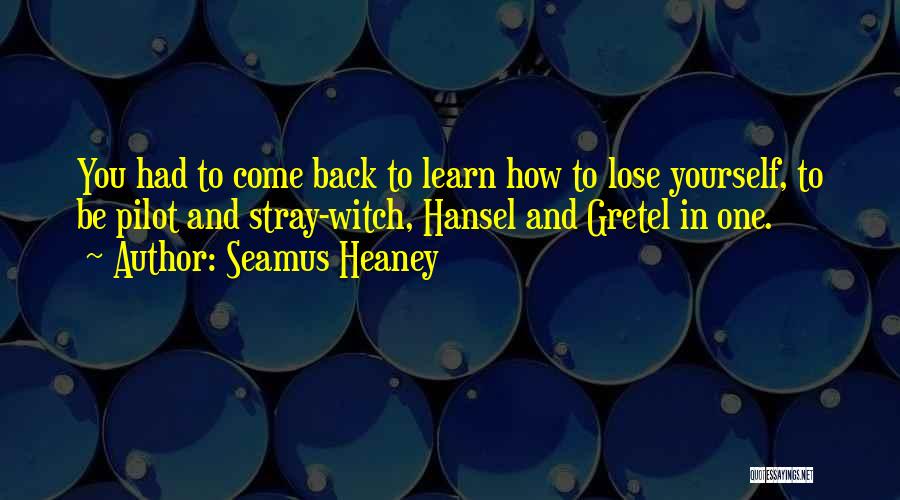 F-16 Pilot Quotes By Seamus Heaney