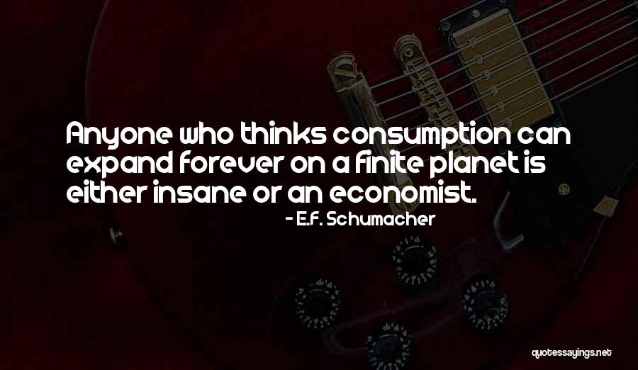 F.a.k.e Quotes By E.F. Schumacher F.a.k.e Quotes By E.F. Schumacher