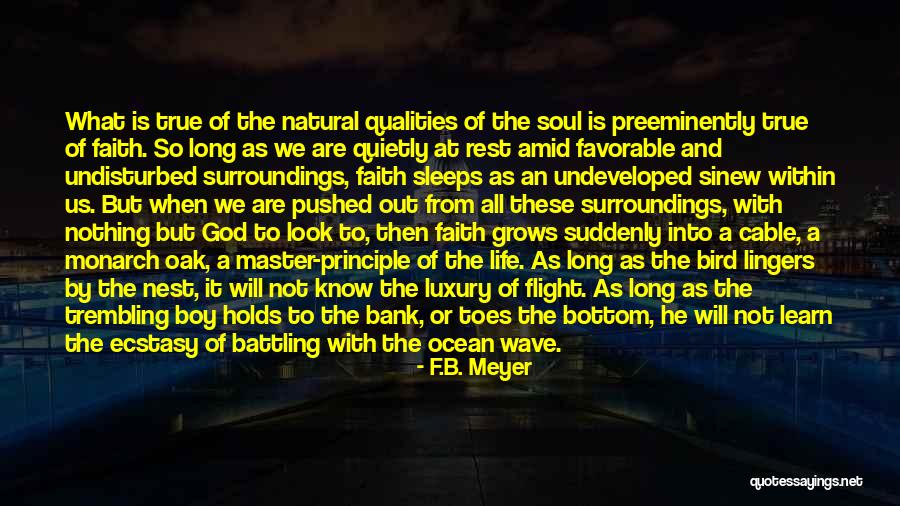 F.B. Meyer Quotes 1083043