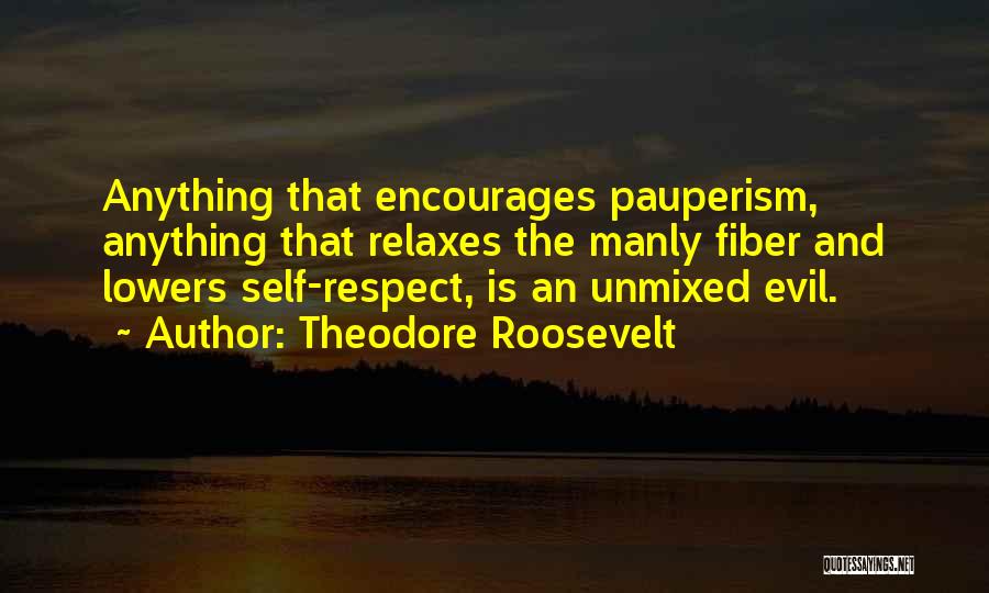 F D Roosevelt Quotes By Theodore Roosevelt