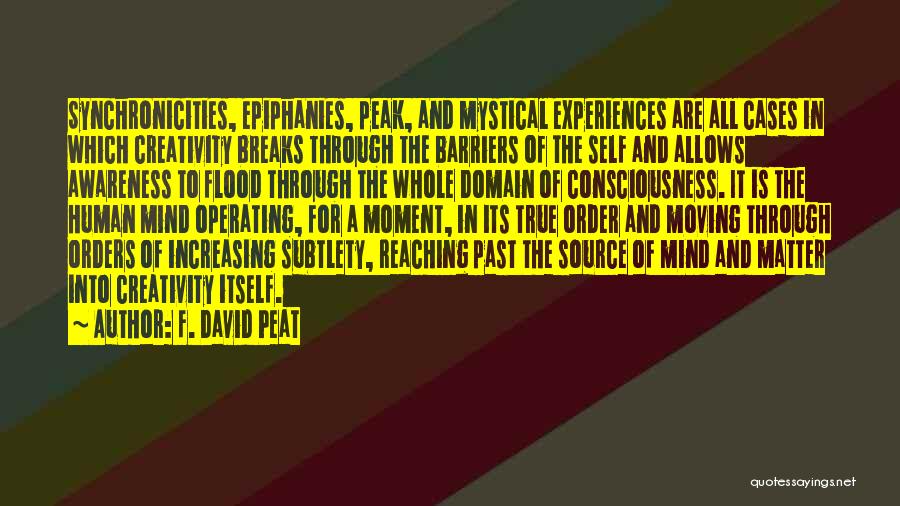 F. David Peat Quotes 1102749
