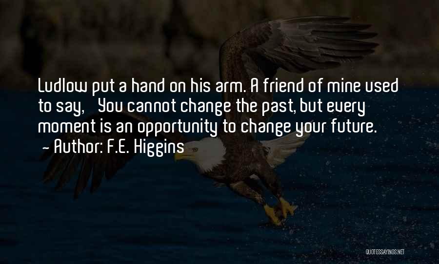 F.E. Higgins Quotes 1979882