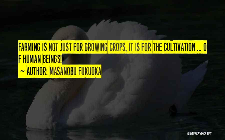 F&o Quotes By Masanobu Fukuoka