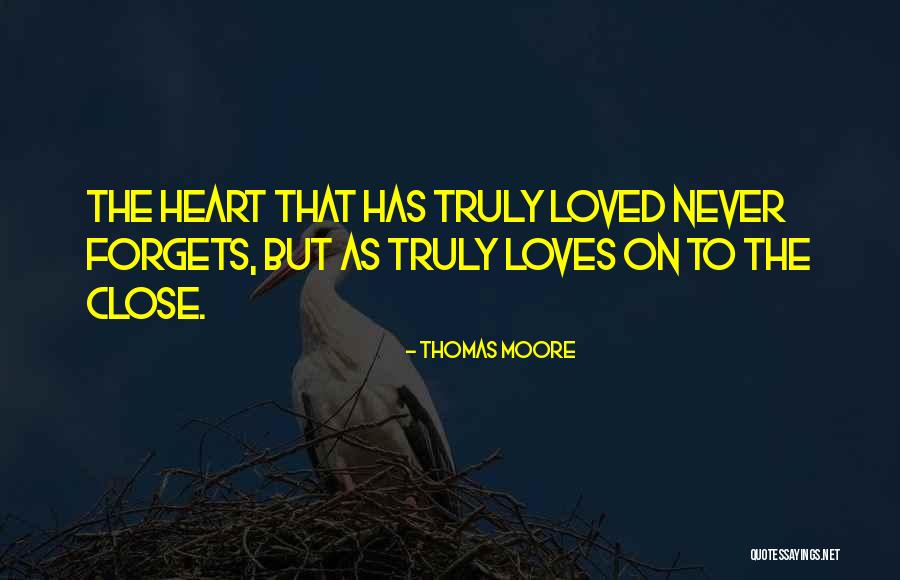 F(x) Amber Quotes By Thomas Moore F(x) Amber Quotes By Thomas Moore