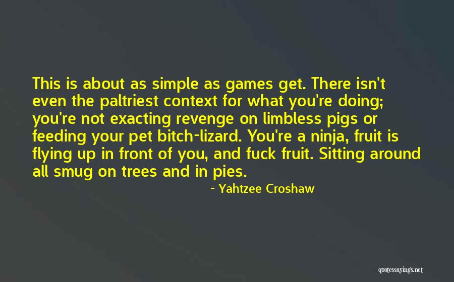 F Zero X Quotes By Yahtzee Croshaw