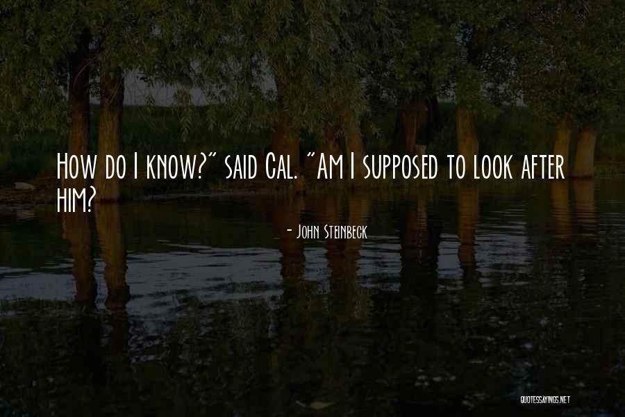 Faatz Crofut Quotes By John Steinbeck Faatz Crofut Quotes By John Steinbeck