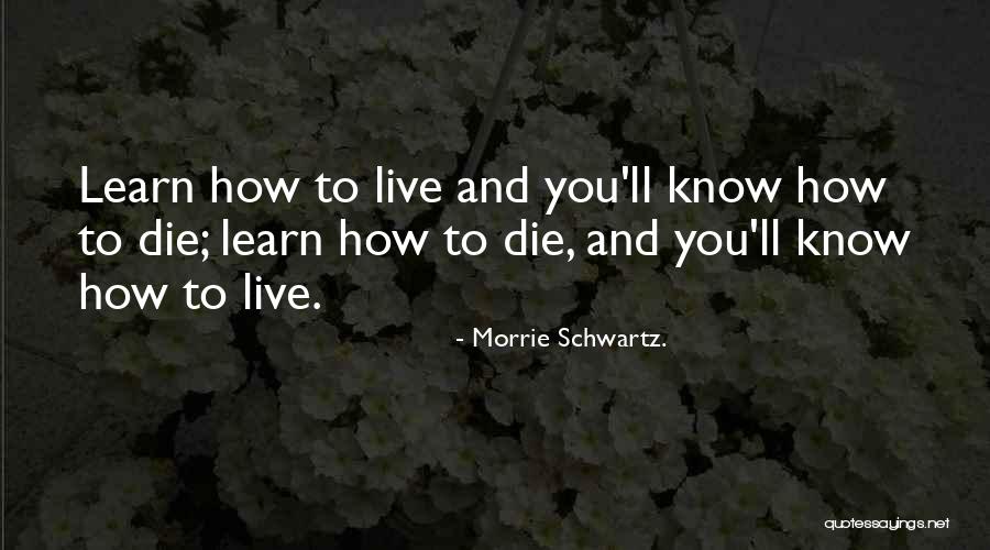 Fabbie Stauffer Quotes By Morrie Schwartz. Fabbie Stauffer Quotes By Morrie Schwartz.