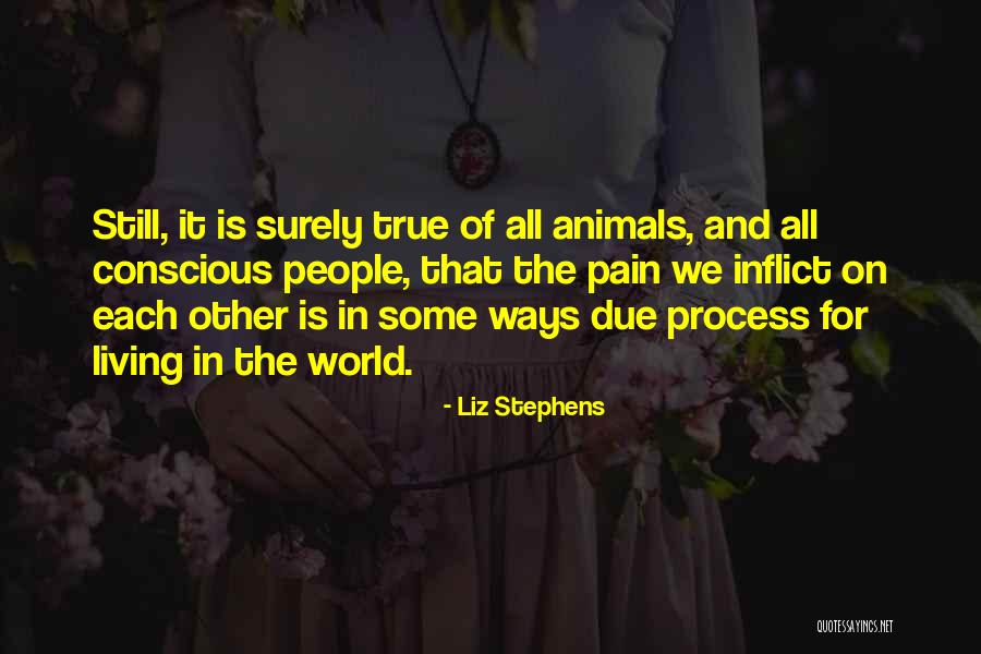 Fabbrini Flowers Quotes By Liz Stephens Fabbrini Flowers Quotes By Liz Stephens