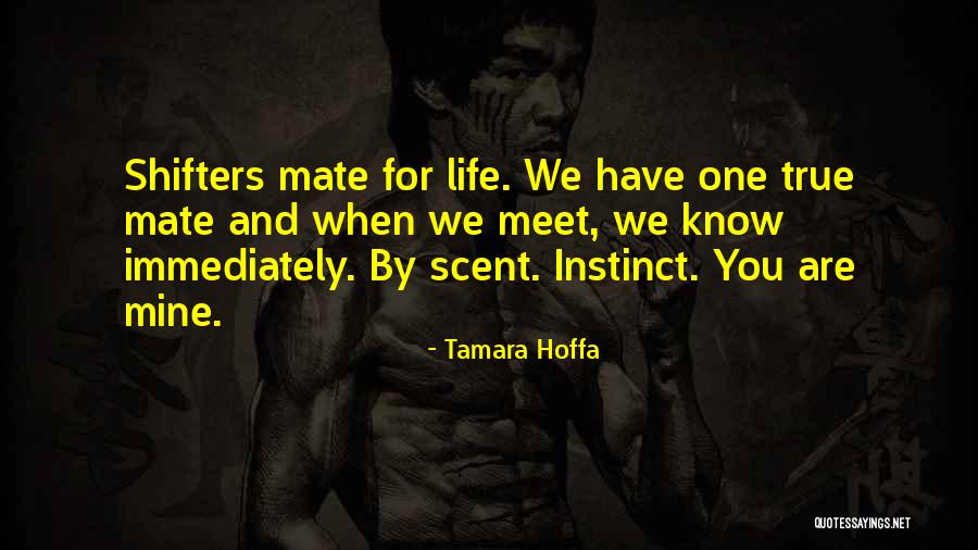 Fabiana Cantilo Quotes By Tamara Hoffa Fabiana Cantilo Quotes By Tamara Hoffa