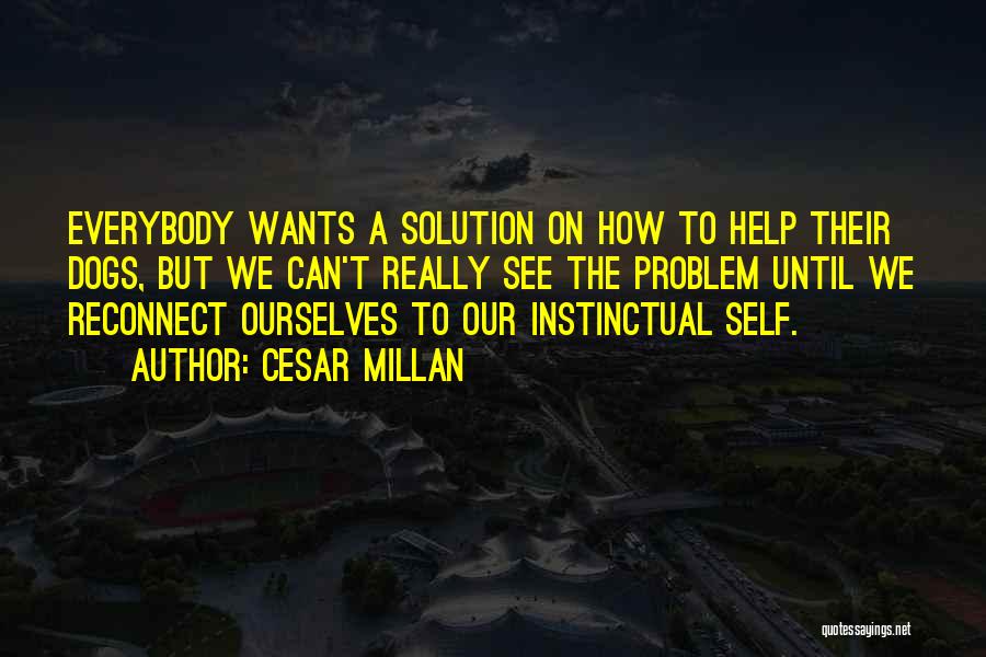 Fabietti Scholarship Quotes By Cesar Millan