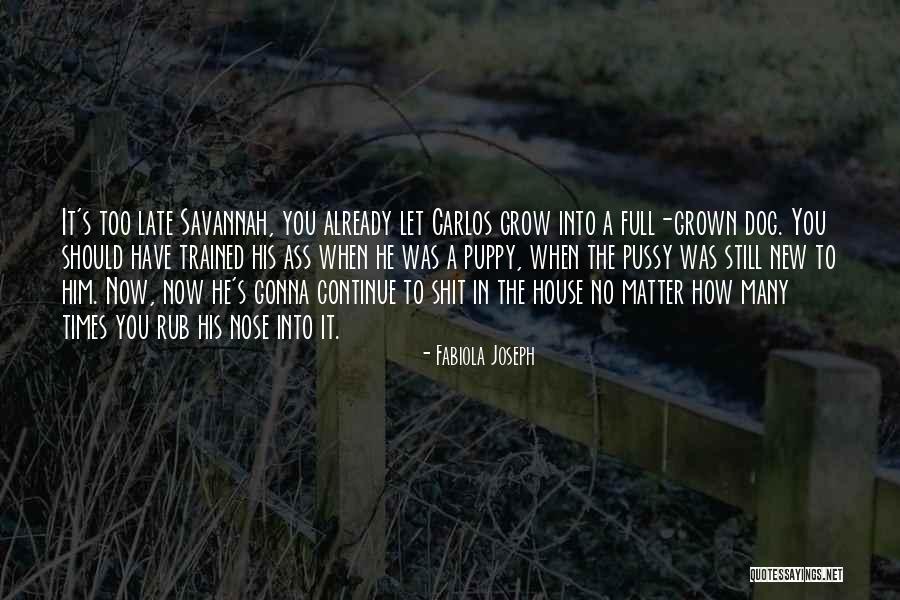 Fabiola Joseph Quotes 1282659