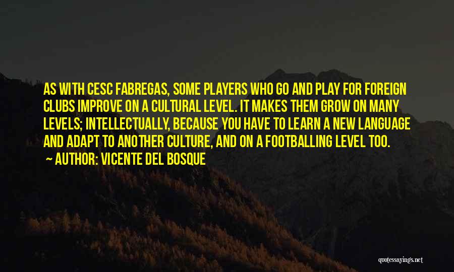 Fabregas Quotes By Vicente Del Bosque