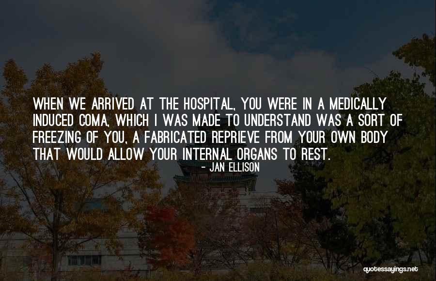 Fabricated Quotes By Jan Ellison Fabricated Quotes By Jan Ellison