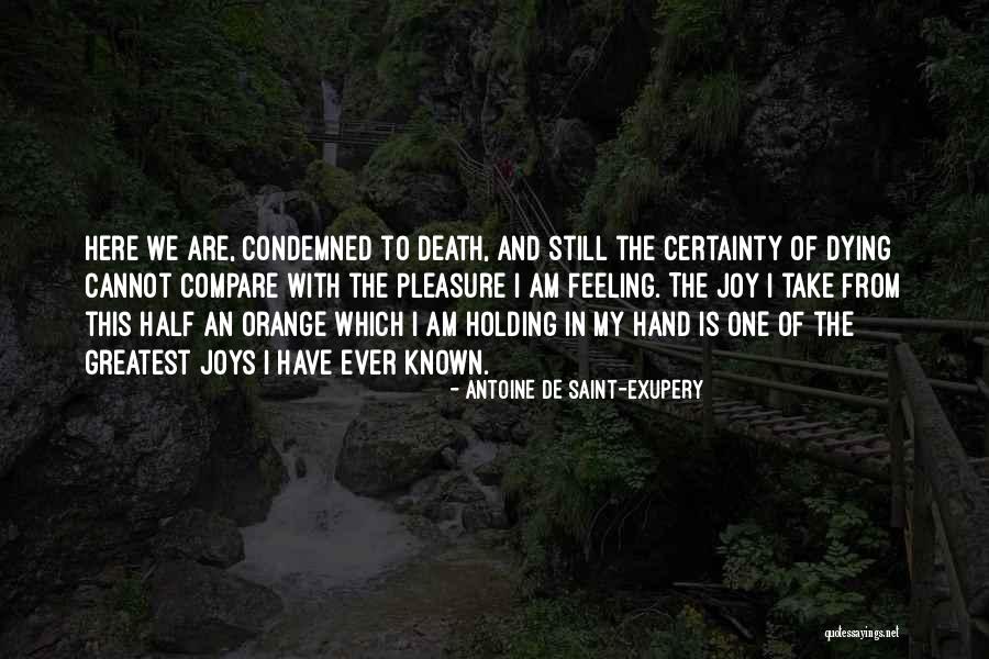 Fabricius Quotes By Antoine De Saint-Exupery Fabricius Quotes By Antoine De Saint-Exupery