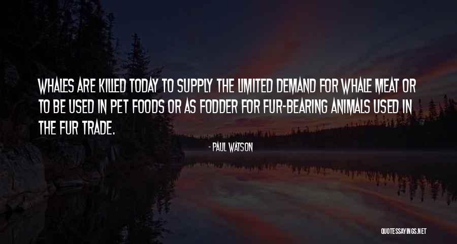 Fabulousness Quotes By Paul Watson Fabulousness Quotes By Paul Watson