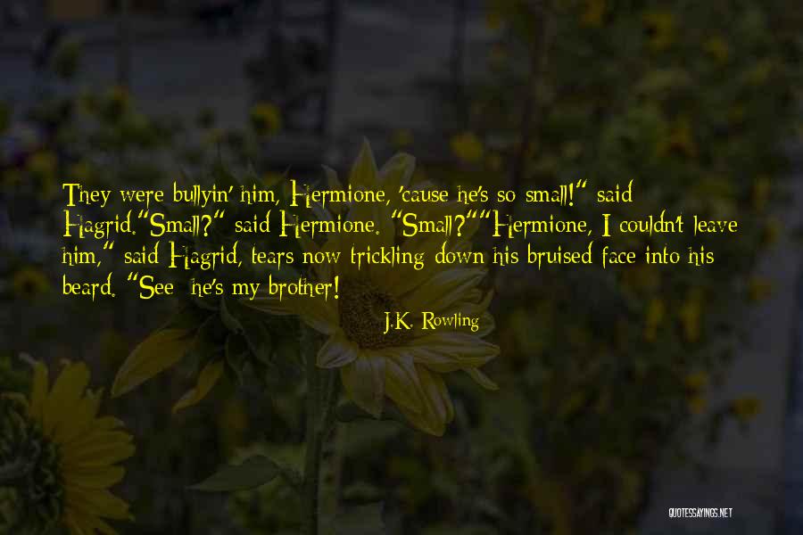 Face Beard Quotes By J.K. Rowling Face Beard Quotes By J.K. Rowling