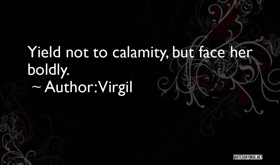 Face Boldly Quotes By Virgil