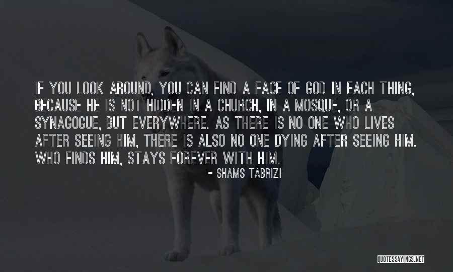 Face Hidden Quotes By Shams Tabrizi