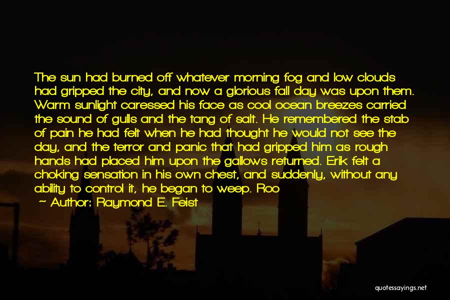 Face In The Sun Quotes By Raymond E. Feist