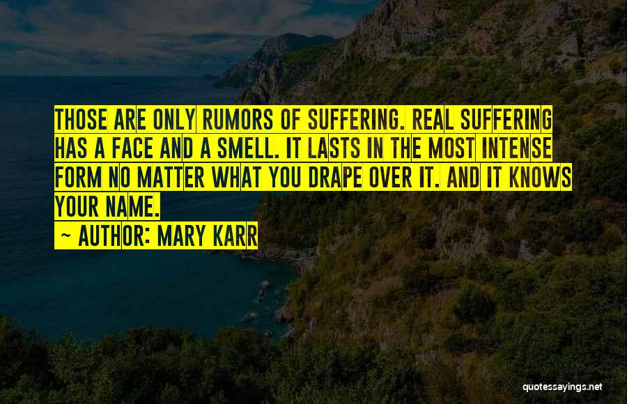 Face It Quotes By Mary Karr