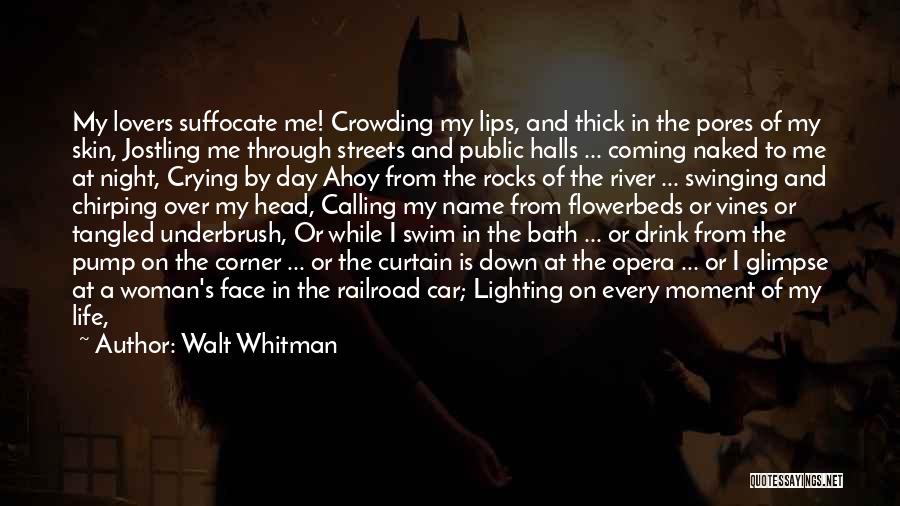 Face Life Head On Quotes By Walt Whitman Face Life Head On Quotes By Walt Whitman