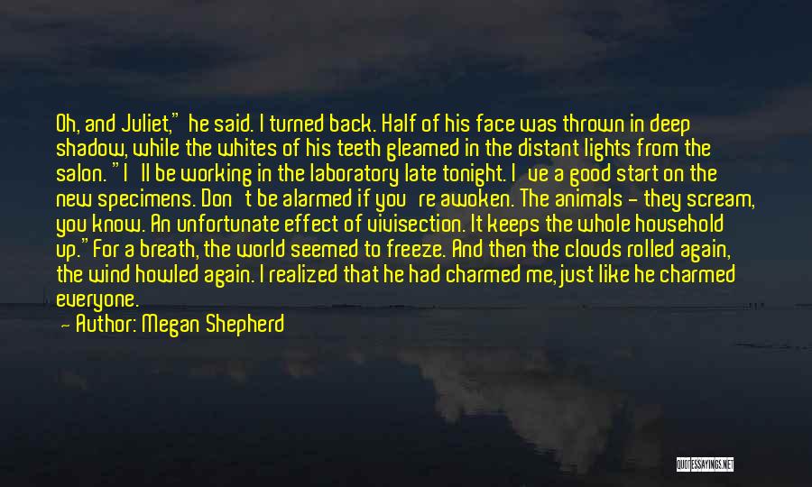 Face Lights Up Quotes By Megan Shepherd