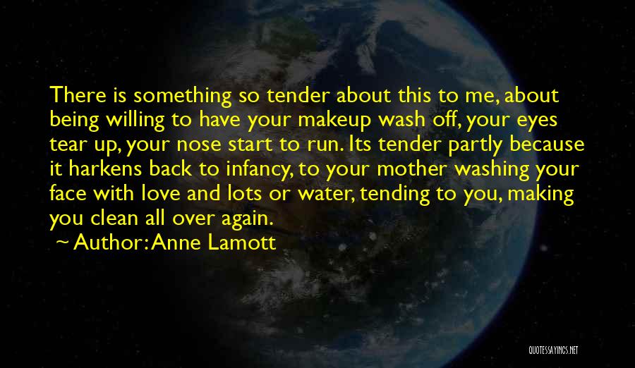 Face Makeup Quotes By Anne Lamott