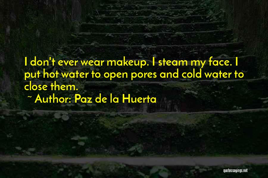 Face Makeup Quotes By Paz De La Huerta