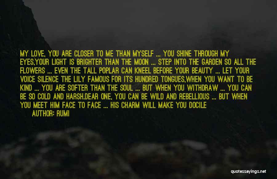 Face Off Famous Quotes By Rumi