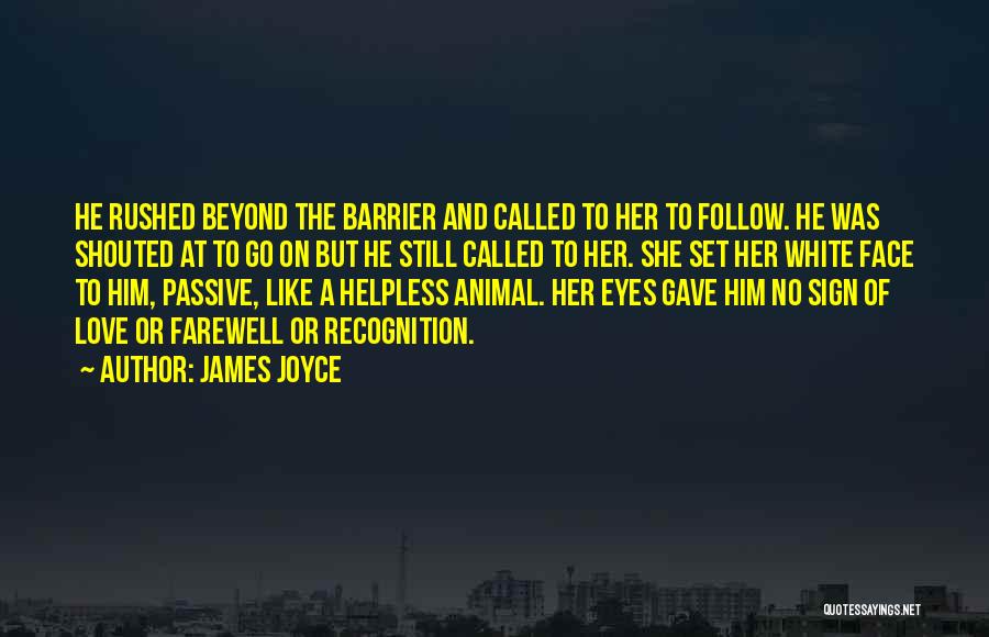Face Recognition Quotes By James Joyce