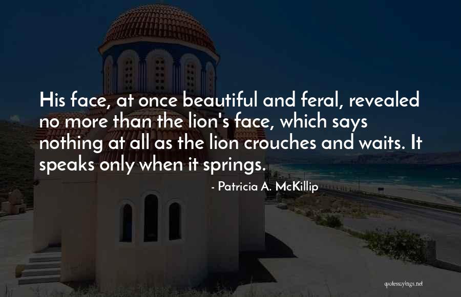 Face Says It All Quotes By Patricia A. McKillip