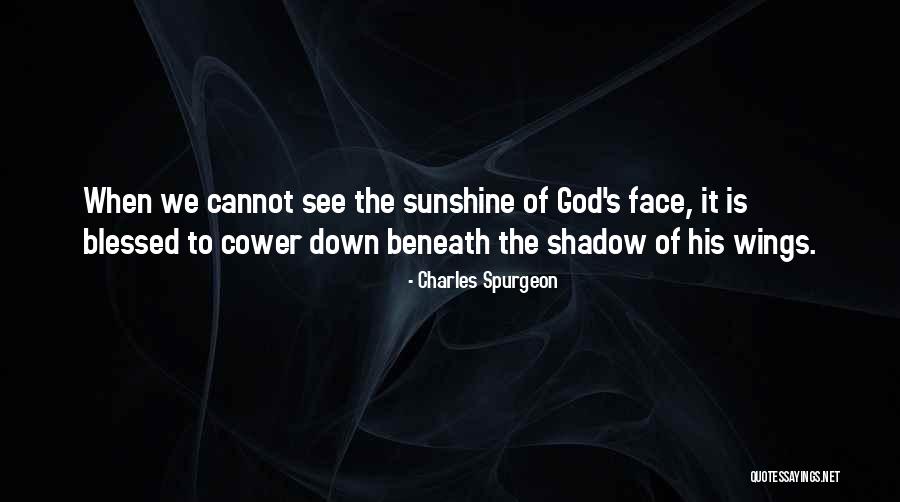 Face Sunshine Quotes By Charles Spurgeon Face Sunshine Quotes By Charles Spurgeon