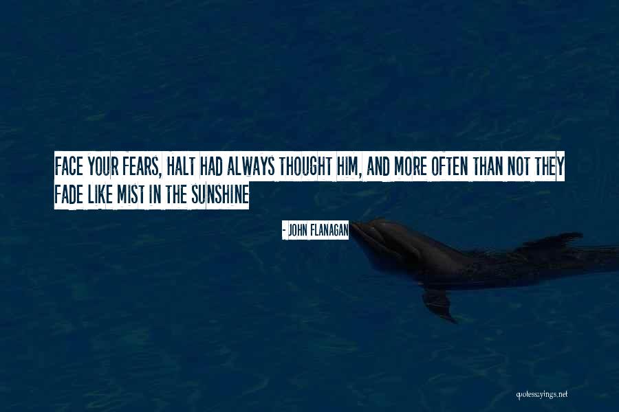 Face Sunshine Quotes By John Flanagan Face Sunshine Quotes By John Flanagan