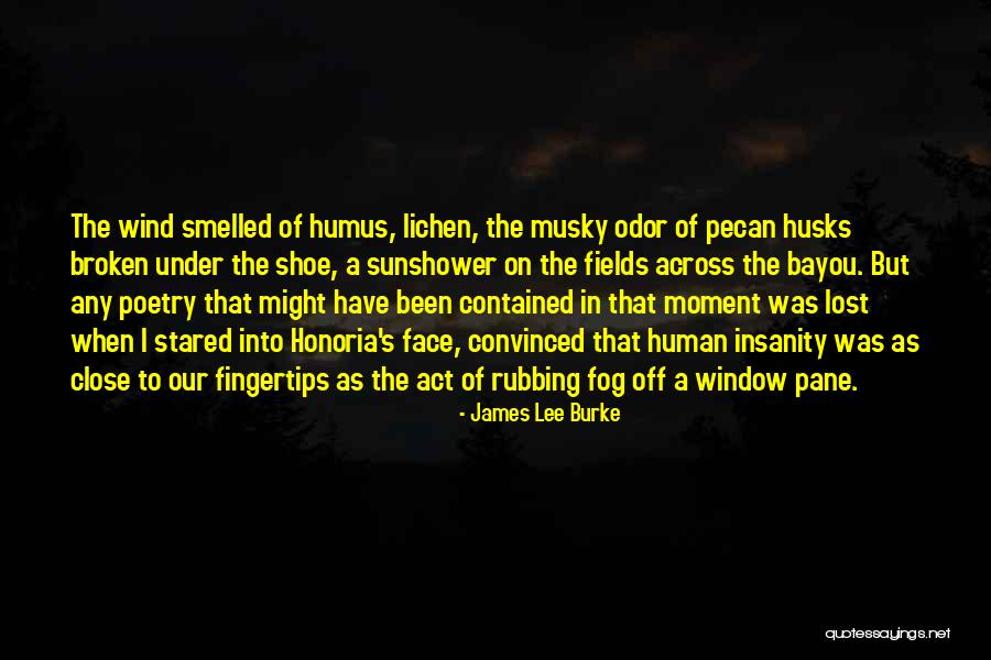 Face That Do Not Fog Quotes By James Lee Burke Face That Do Not Fog Quotes By James Lee Burke