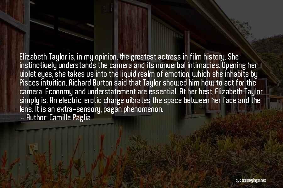 Face The Camera Quotes By Camille Paglia
