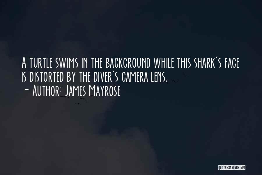 Face The Camera Quotes By James Mayrose