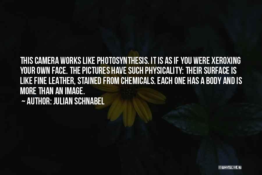 Face The Camera Quotes By Julian Schnabel