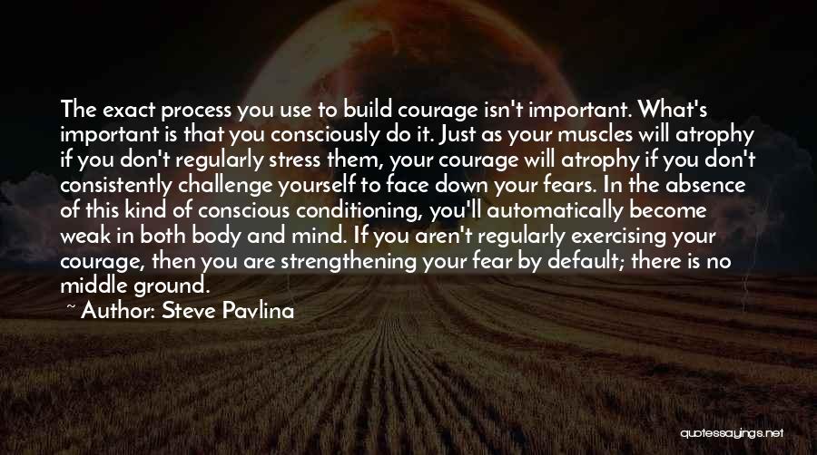 Face The Challenge Quotes By Steve Pavlina